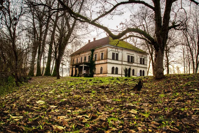 Castle Turk - Mažuranic