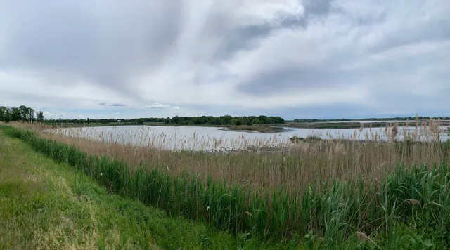 Augustine Wildlife Area