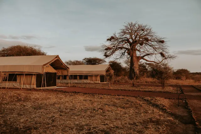 Tarangire Tortilis Camp