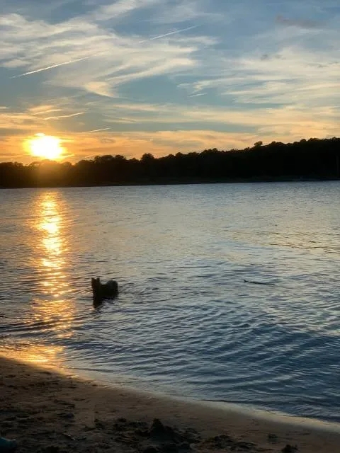 Cattus Island County Park