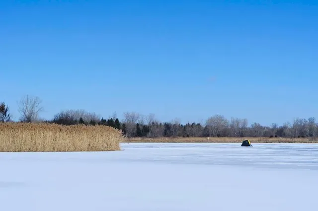 Mallard Lake Forest Preserve
