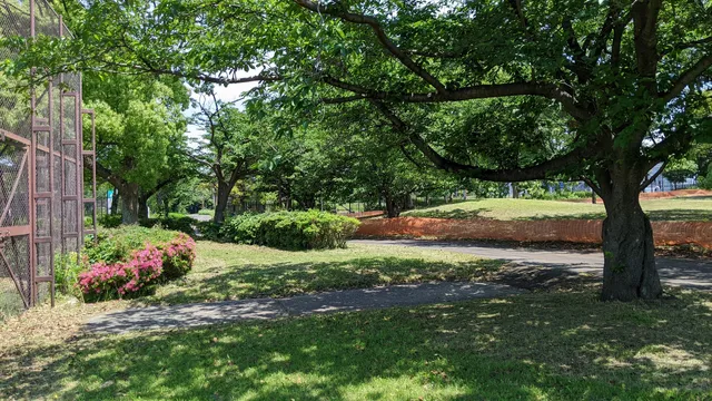 Oi Wharf Central Seaside Park