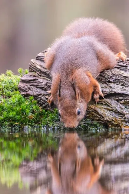 Cachoeira Das Tres Barras