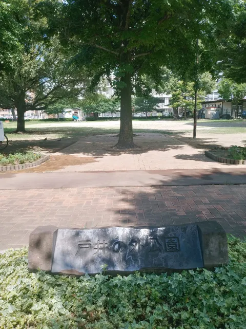 photo-1