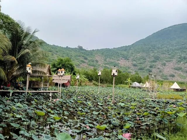 Nàng Sen - ẩm thực & camping