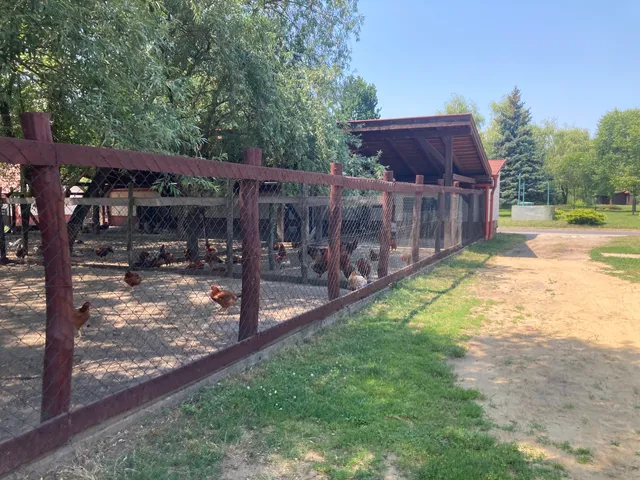 Erdőspuszta Élménypark