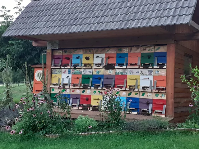 Čebelarstvo Ambrožič - Kralov Med