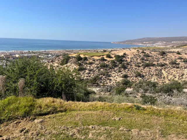 photo-1