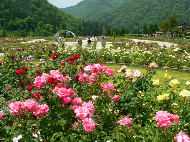 photo-3