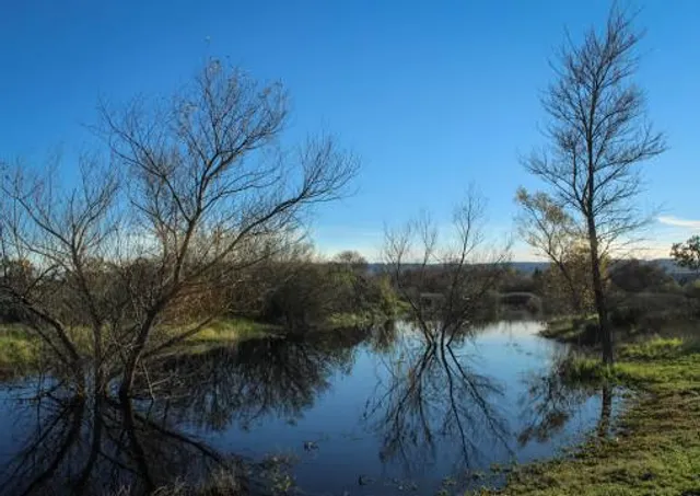 Madrona Marsh Preserve and Nature Center