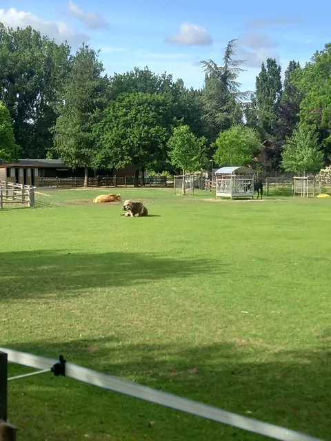 Parc du Croissant Vert