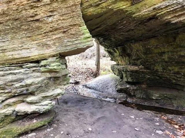 Portland Arch Nature Preserve (North Trail)