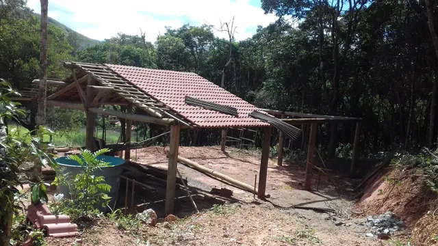 Buffet Infantil Bambuluarte