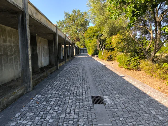 Cemitério de Carnide