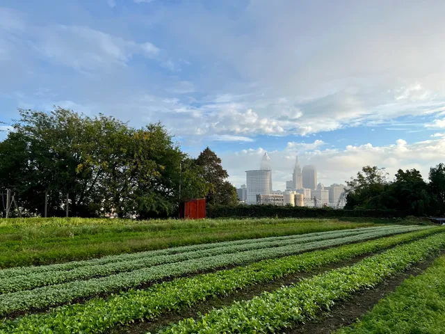Ohio City Farm Store