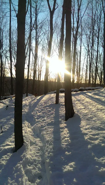 photo-2