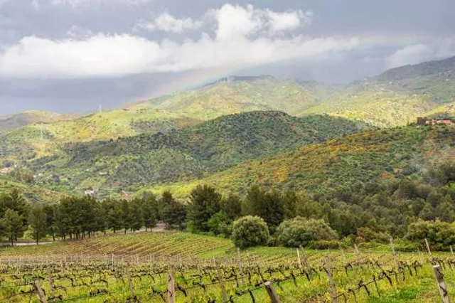 Castello Reale di Casotto