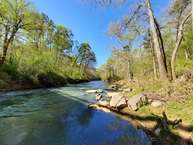 Cahaba River Trail & Canoe drop