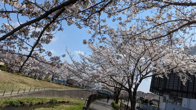 Misawagawa Riverside Park