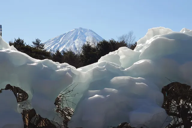 Saiko Wild Bird Forest Park (Fujisan Eco Net)
