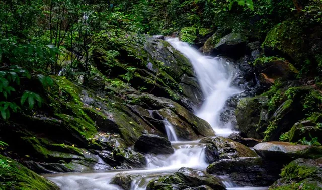 Mookambika Wildlife Sanctuary - Kodachadri