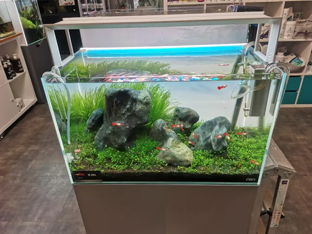 AEP Concept Sàrl / Swiss Aqua Shop