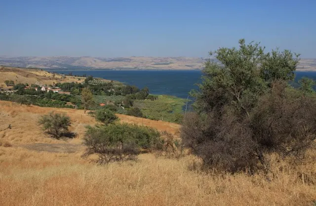 Tel Kinarot