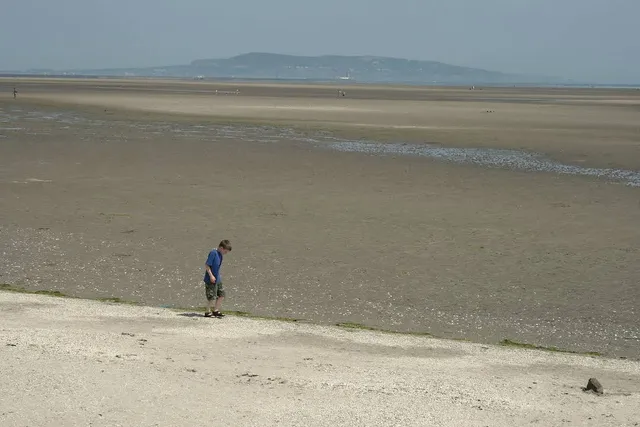 Sandymount Strand