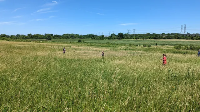 East Branch Forest Preserve