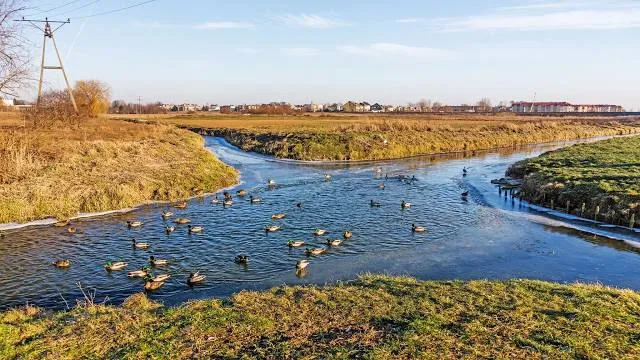 Crossing rivers - the bifurcation