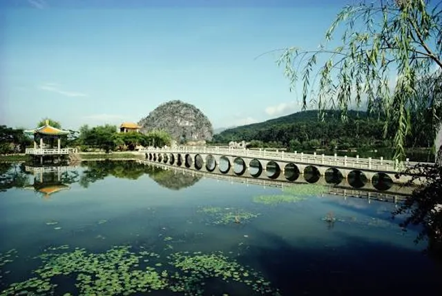 photo-1