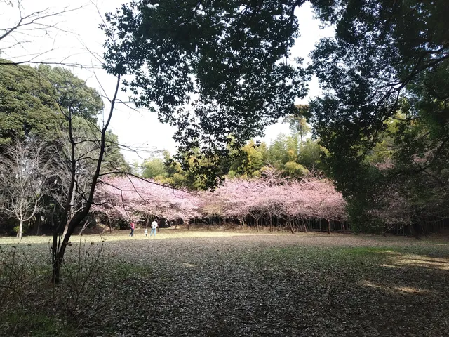 Remains of Takai Castle Park