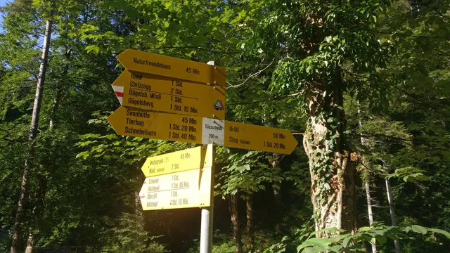 photo-1