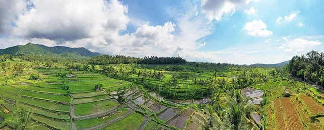 SIDEMEN RICE TERRACE