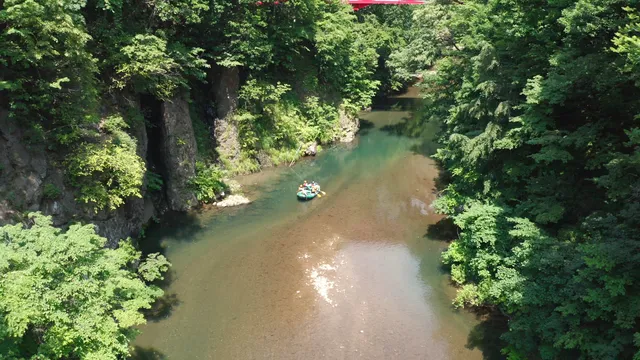 野あそびベース フリルフスリフ