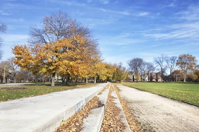 Ogden (William) Park