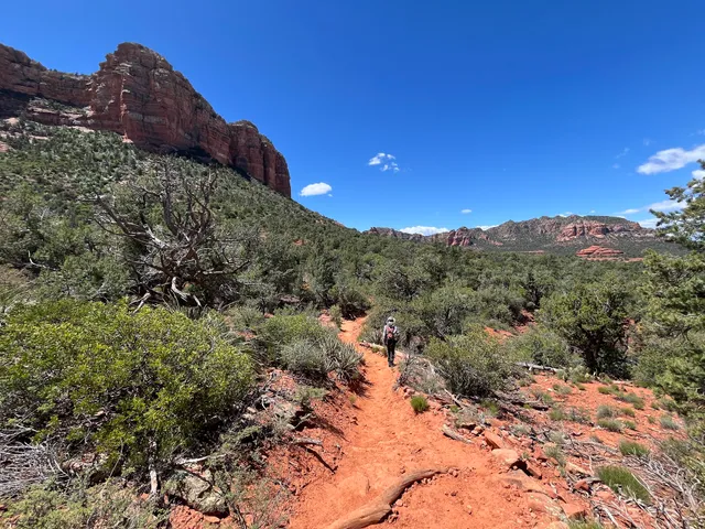 Courthouse Loop South Trailhead