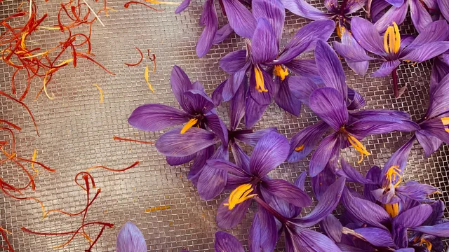 Tenuta Antico Monastero