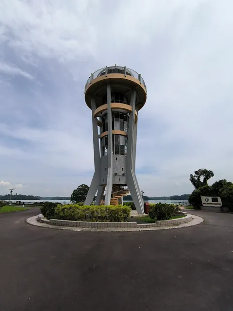 Upper Seletar Reservoir Tree