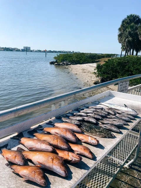 Finseekers Fishing Charters