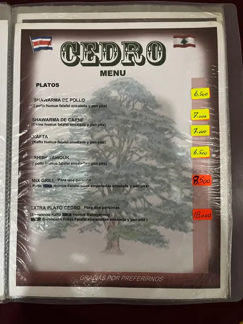 Comida Libanesa Cedro