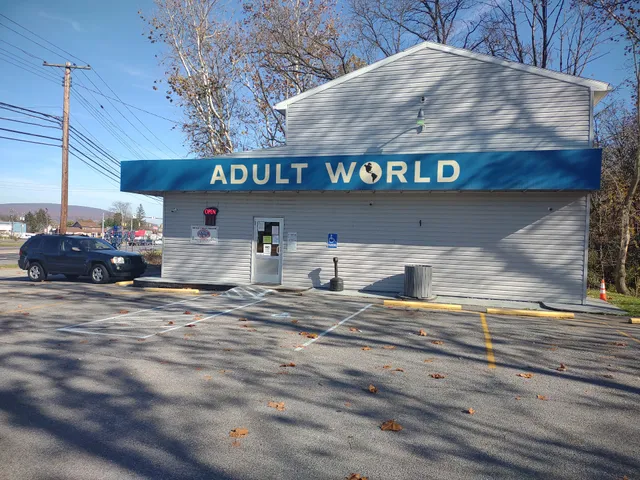 Adult World