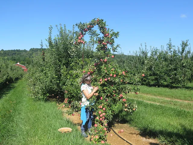 Melick's Town Farm - Califon Orchards