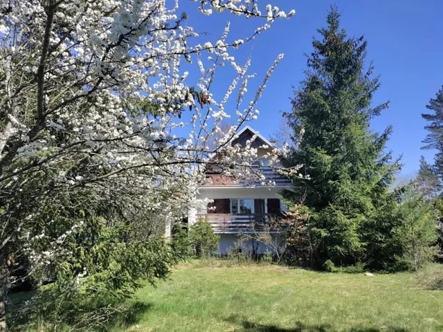 Widny Jaś zaprasza z psem nad jezioro na Kaszuby