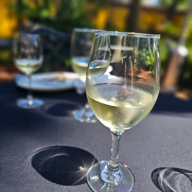 Serendipity Wine Tasting Tours