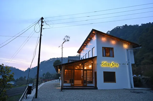 Silverfern By The Hillside