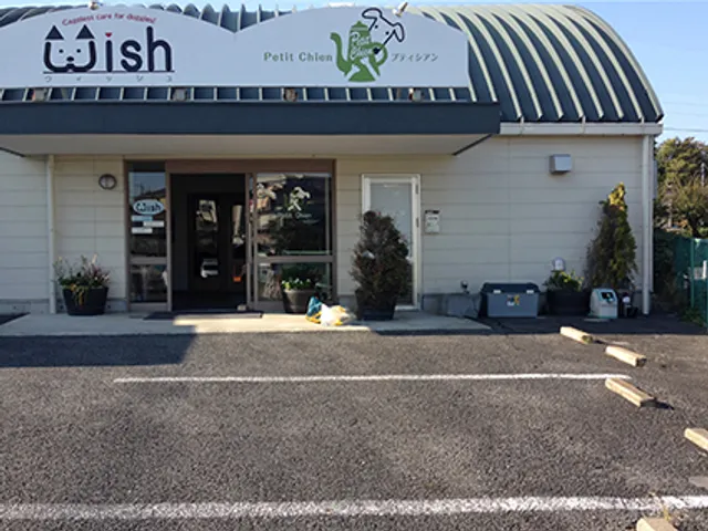 Dog Cafe Petit Chien