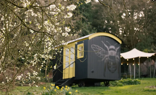 Hawarden Estate Holidays