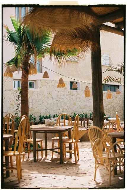 The Jungle - Specialty Coffee & Food