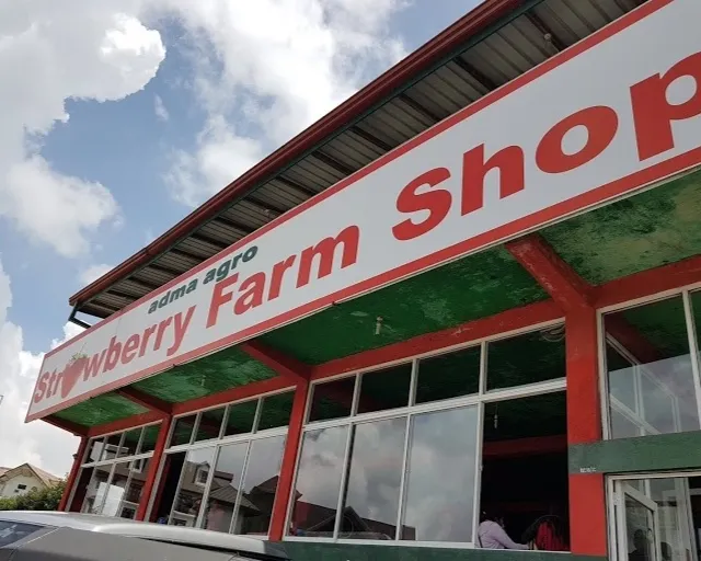 Adma Agro Strawberry Farm Shop